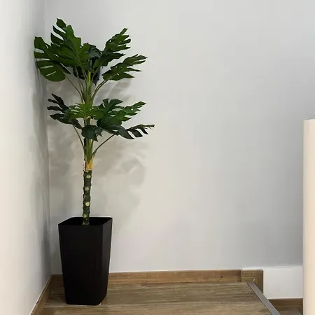 As Casas Do Penedo Da Moura Apartament Arcos de Valdevez